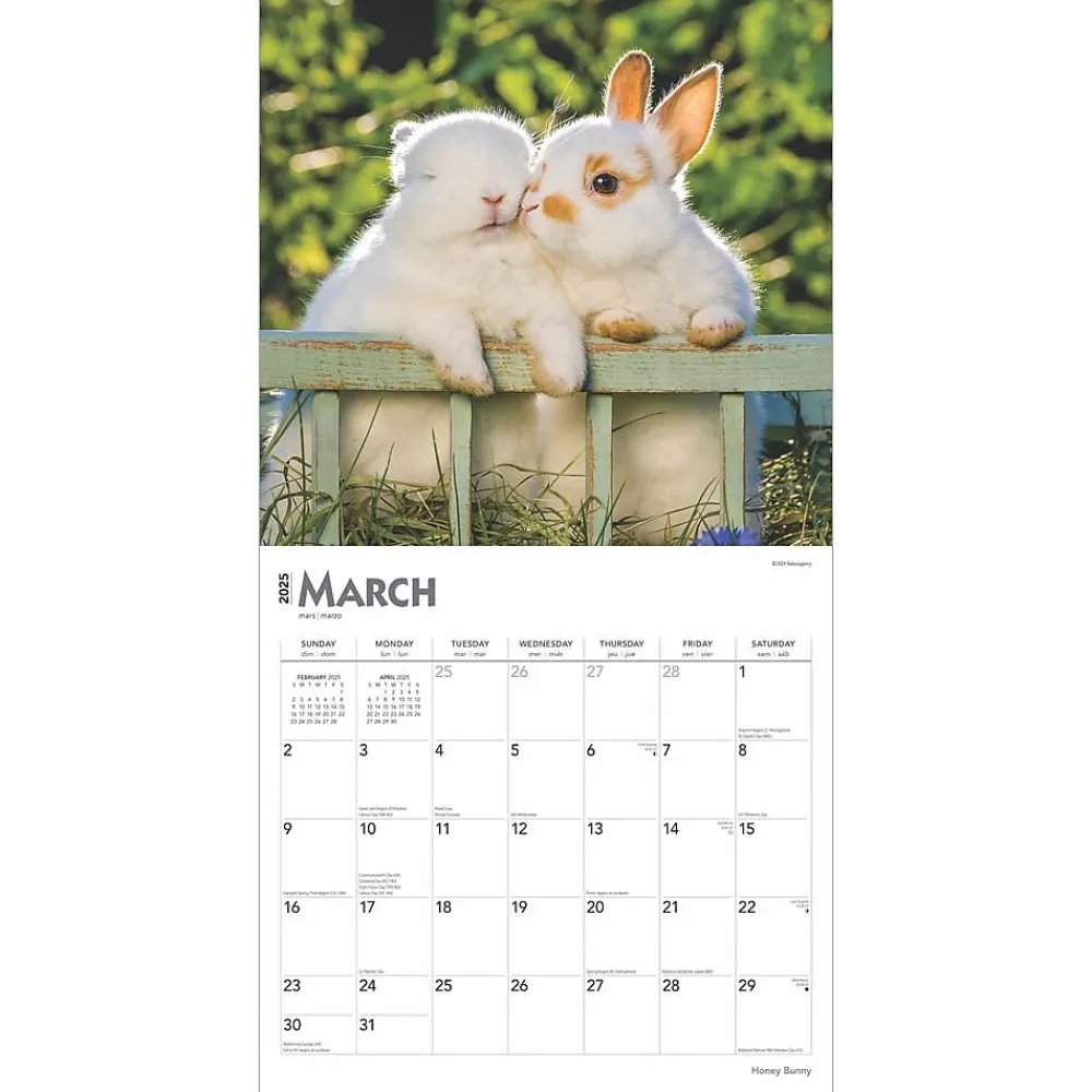 2025 Calendars|BrownTrout 2025 Honey Bunny 12" x 12" Monthly Wall Calendar (9781975474911)