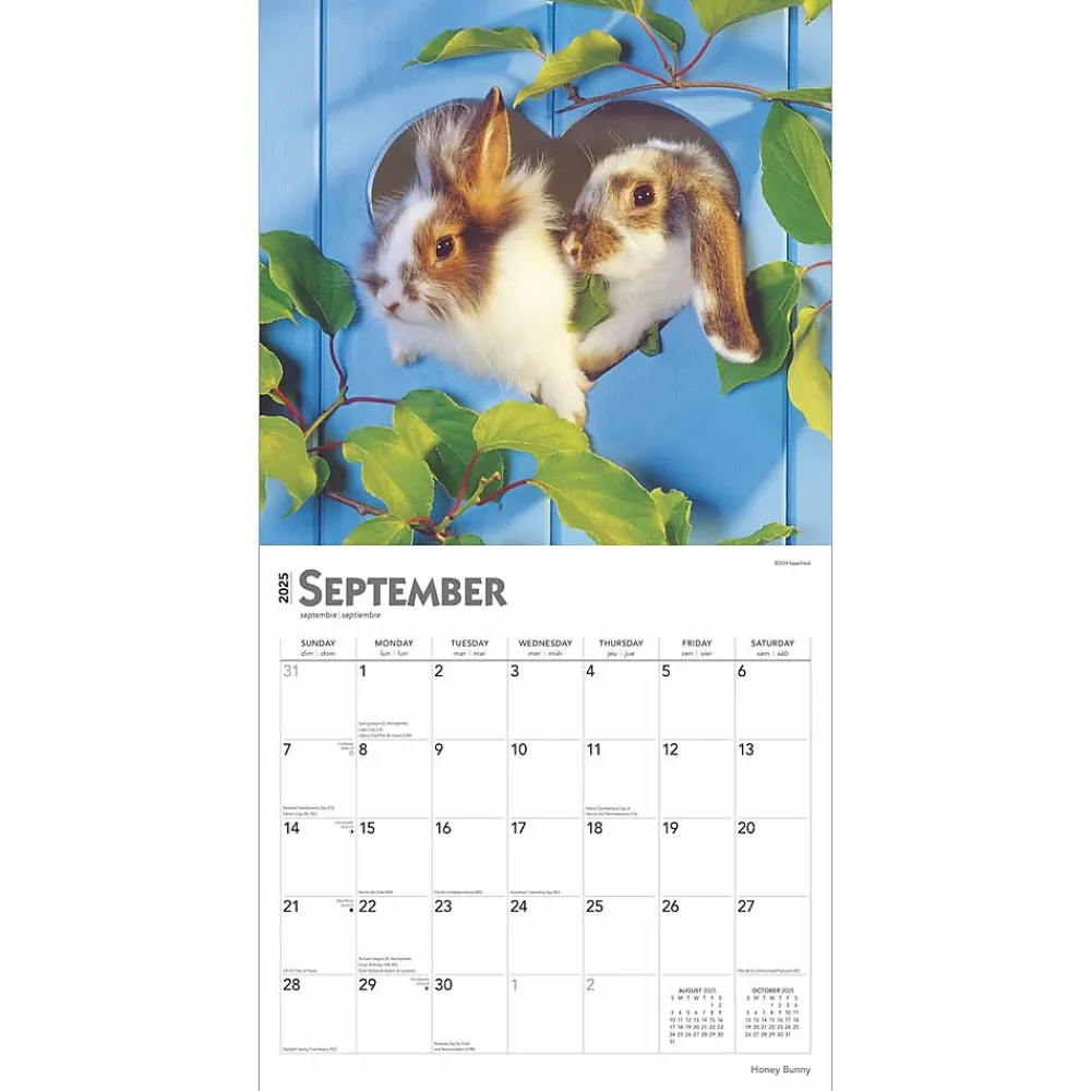 2025 Calendars|BrownTrout 2025 Honey Bunny 12" x 12" Monthly Wall Calendar (9781975474911)