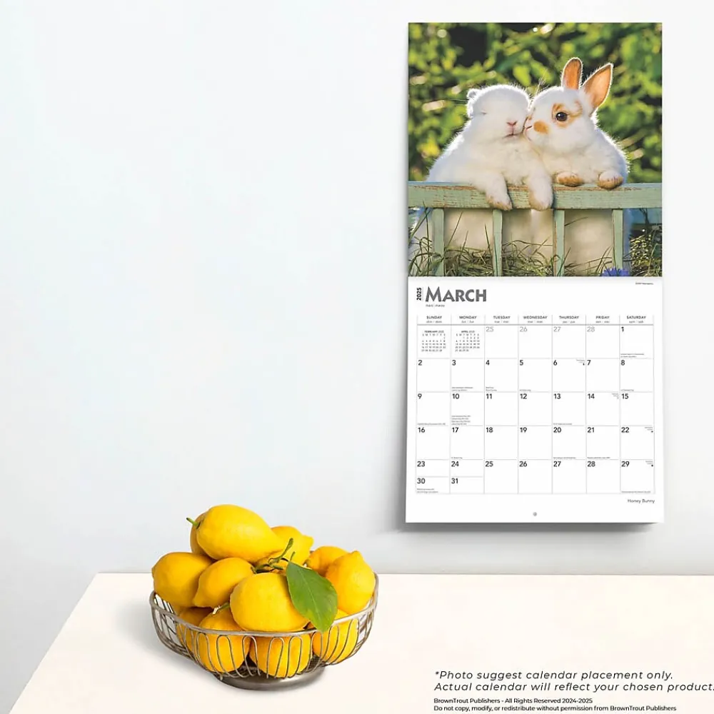 2025 Calendars|BrownTrout 2025 Honey Bunny 12" x 12" Monthly Wall Calendar (9781975474911)