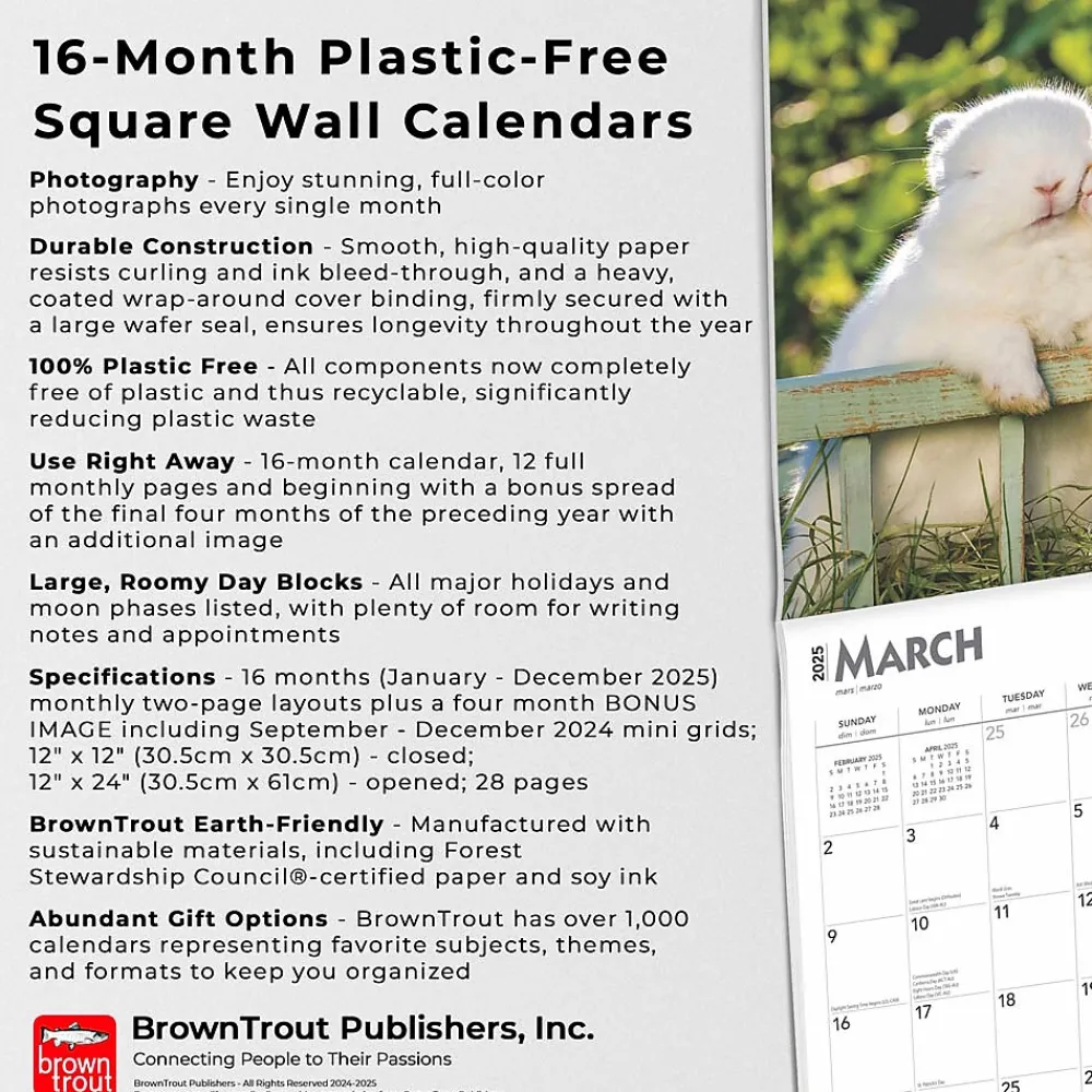 2025 Calendars|BrownTrout 2025 Honey Bunny 12" x 12" Monthly Wall Calendar (9781975474911)