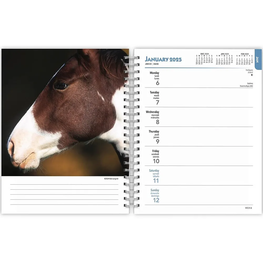 2025 Planners|BrownTrout 2025 Horse Lovers 6" x 7.75" Weekly Engagement Planner, Paper Cover, Multicolored (9781975473273)