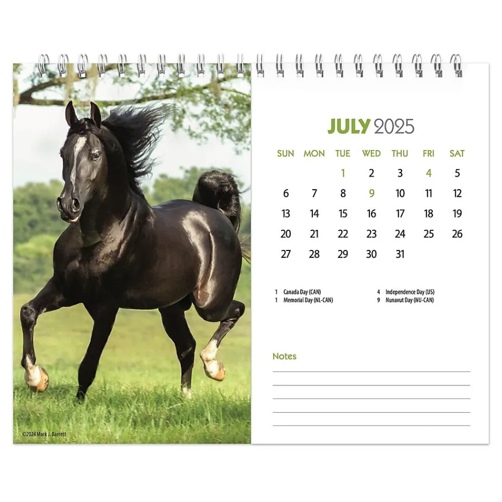 2025 Calendars|BrownTrout 2025 Horse Lovers 7.5" x 6" Monthly Desk Calendar (9781975478476)