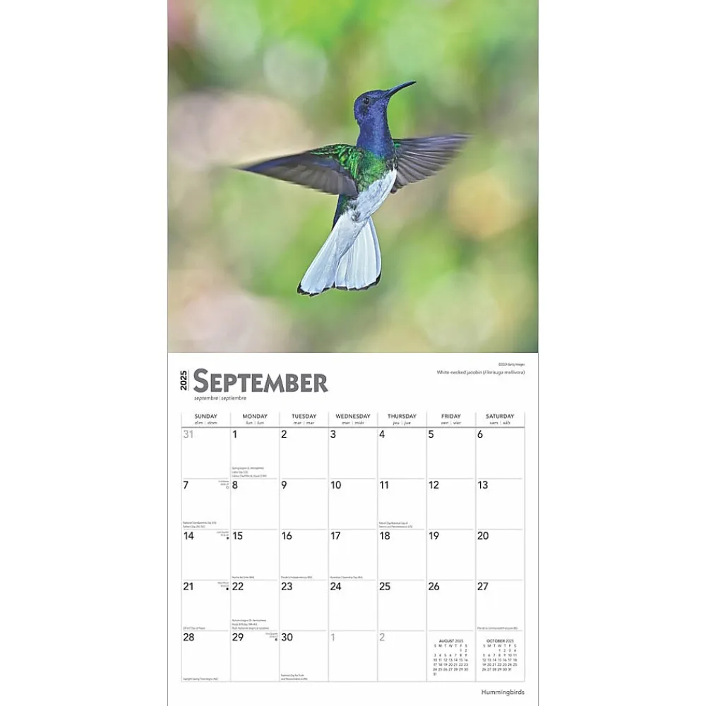 2025 Calendars|BrownTrout 2025 Hummingbirds 12" x 12" Monthly Wall Calendar (9781975477189)