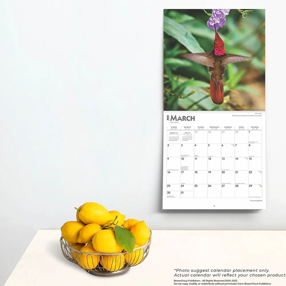 2025 Calendars|BrownTrout 2025 Hummingbirds 12" x 12" Monthly Wall Calendar (9781975477189)