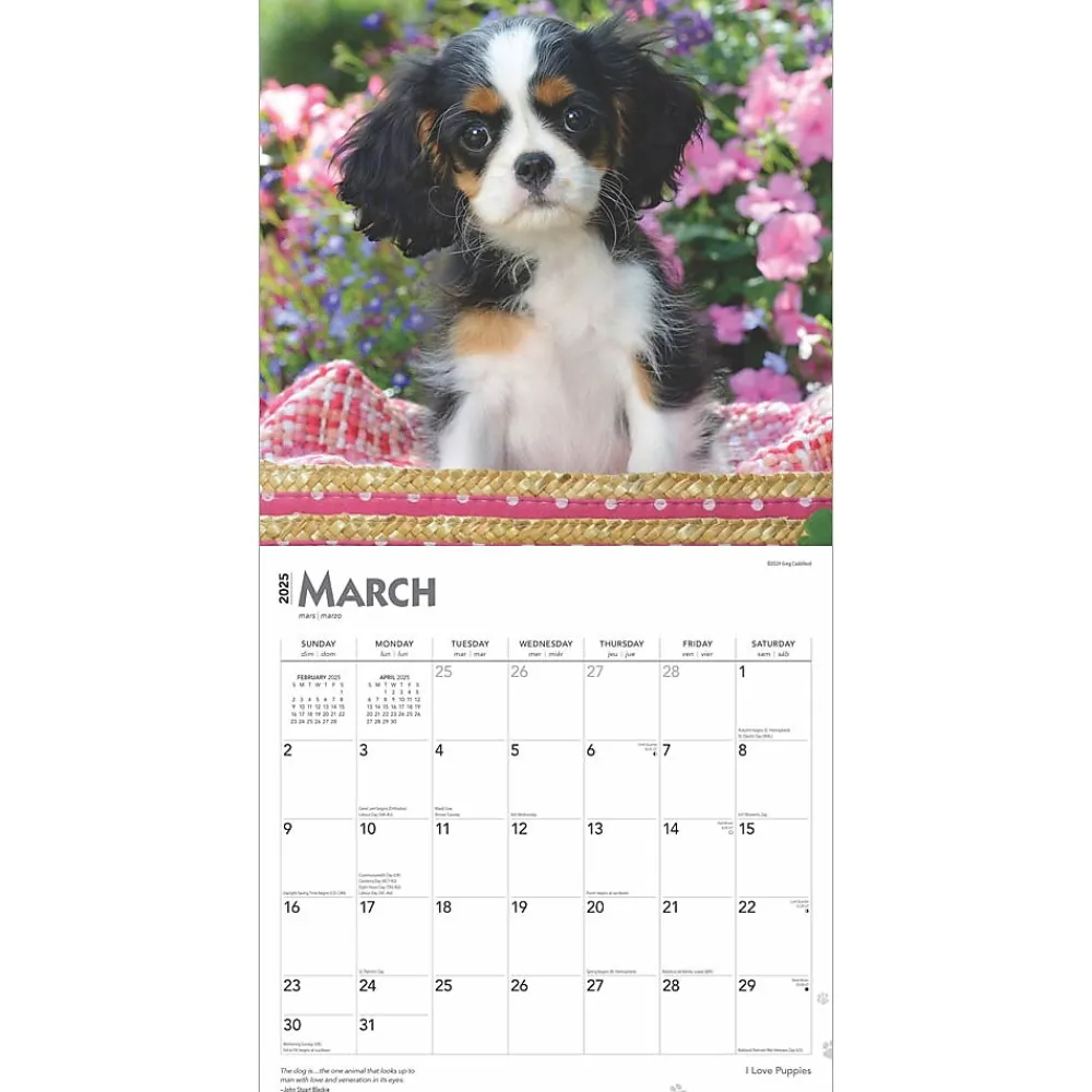 2025 Calendars|BrownTrout 2025 I Love Puppies 12" x 12" Monthly Wall Calendar (9781975477592)