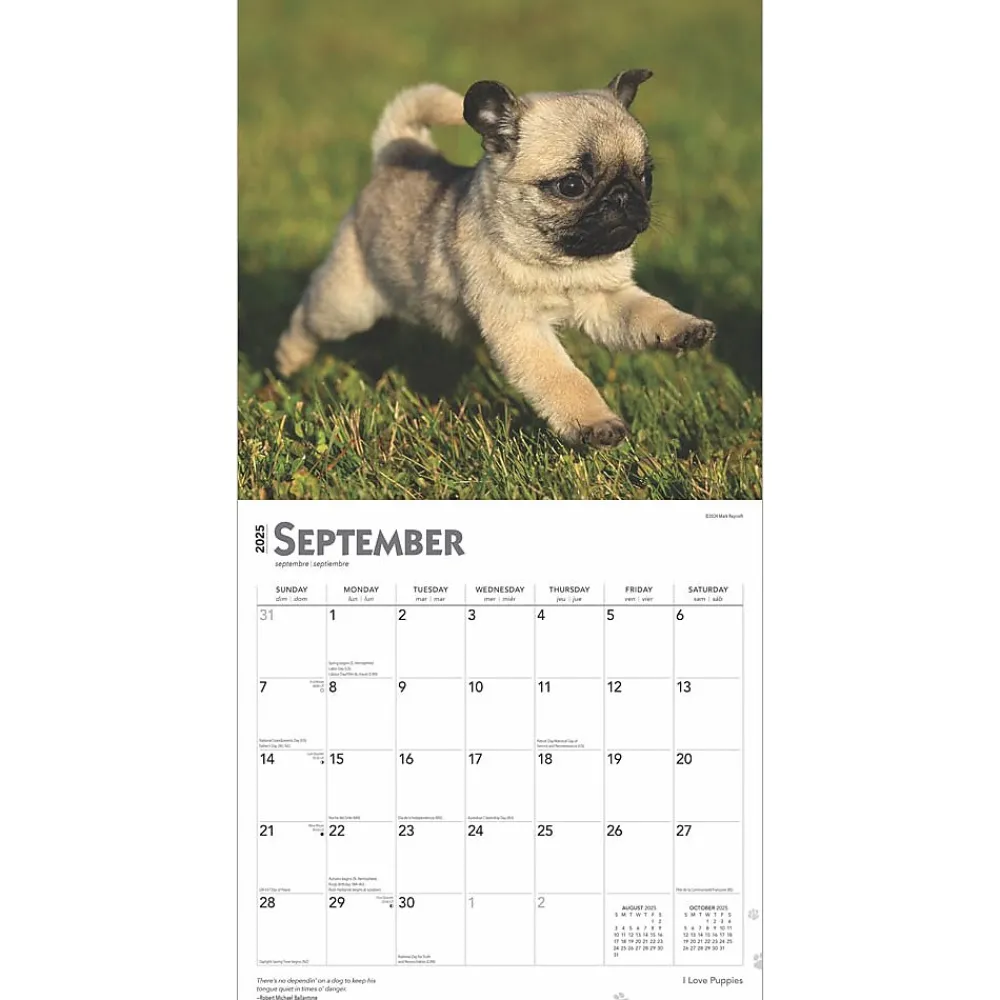 2025 Calendars|BrownTrout 2025 I Love Puppies 12" x 12" Monthly Wall Calendar (9781975477592)