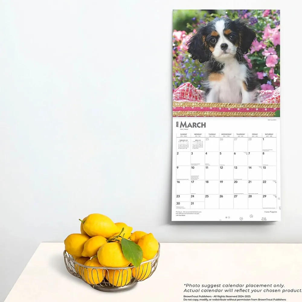 2025 Calendars|BrownTrout 2025 I Love Puppies 12" x 12" Monthly Wall Calendar (9781975477592)