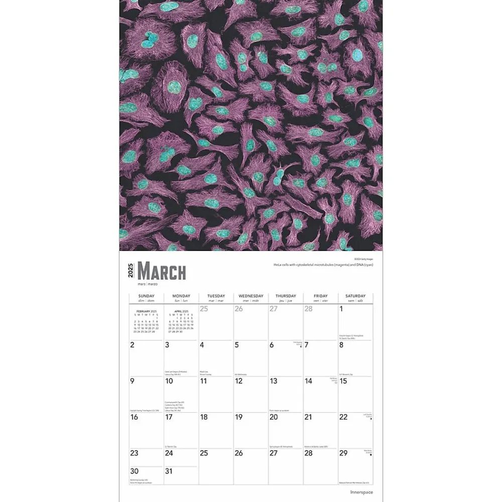 2025 Calendars|BrownTrout 2025 Innerspace 12" x 12" Monthly Square Wall Calendar (9781975481438)