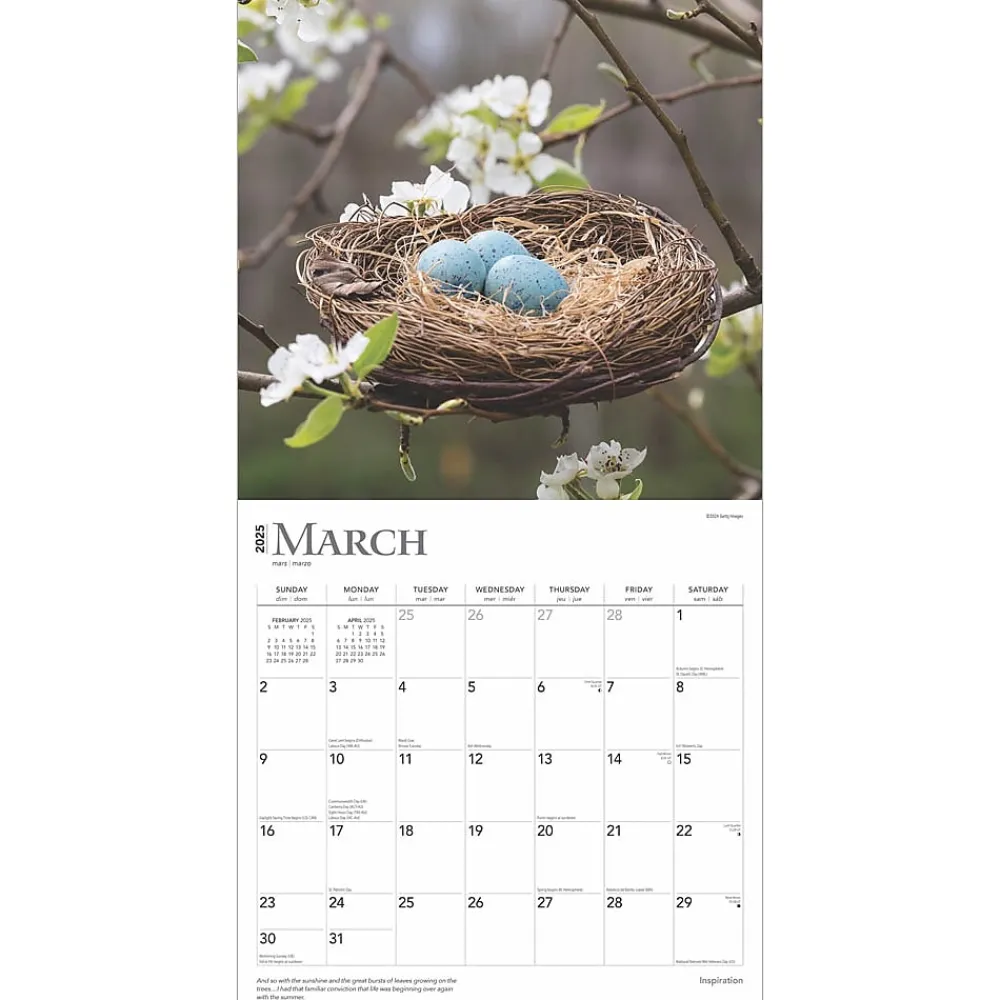 2025 Calendars|BrownTrout 2025 Inspiration 12" x 12" Monthly Wall Calendar (9781975477196)
