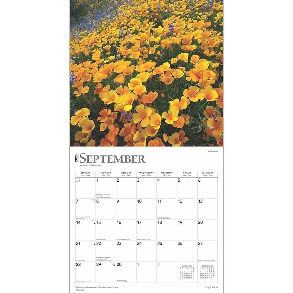2025 Calendars|BrownTrout 2025 Inspiration 12" x 12" Monthly Wall Calendar (9781975477196)
