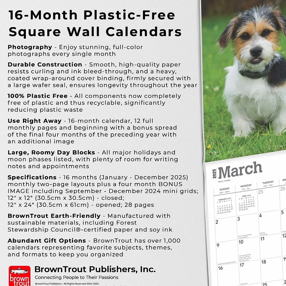 2025 Calendars|BrownTrout 2025 Jack Russell Terrier Puppies 12" x 12" Monthly Wall Calendar (9781975477226)