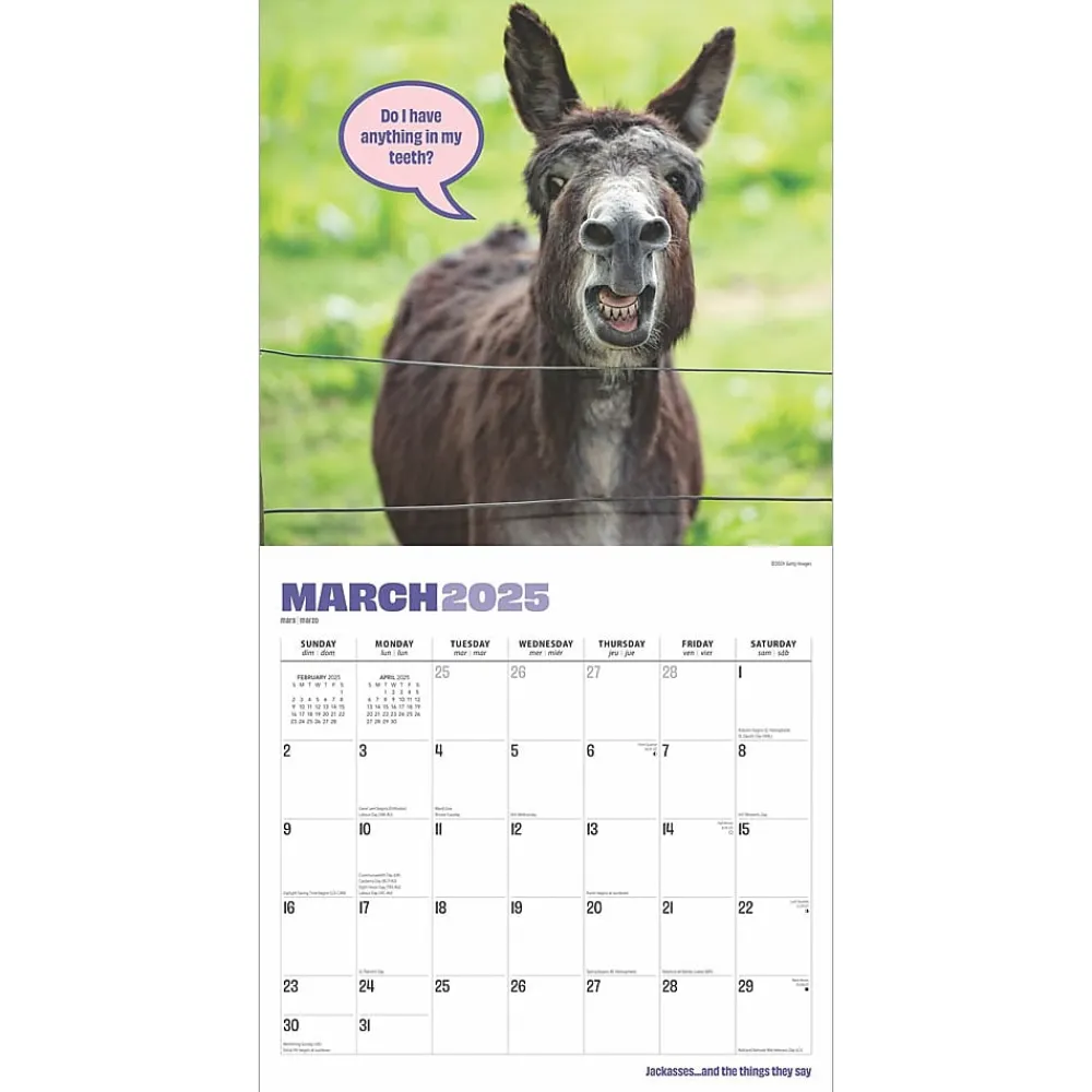 2025 Calendars|BrownTrout 2025 Jackasses 12" x 12" Monthly Wall Calendar (9781975477240)