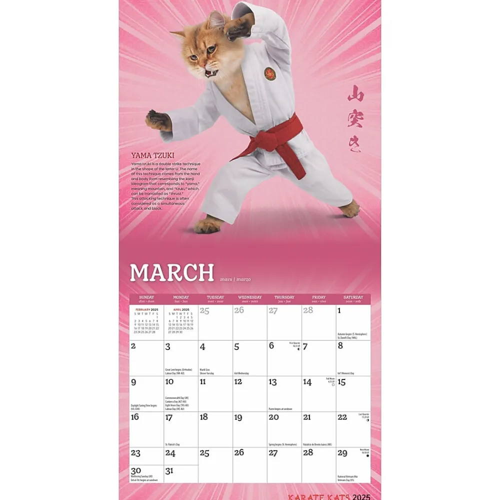 2025 Calendars|BrownTrout 2025 Karate Cats 7" x 14" Monthly Mini Wall Calendar, (9781975479541)