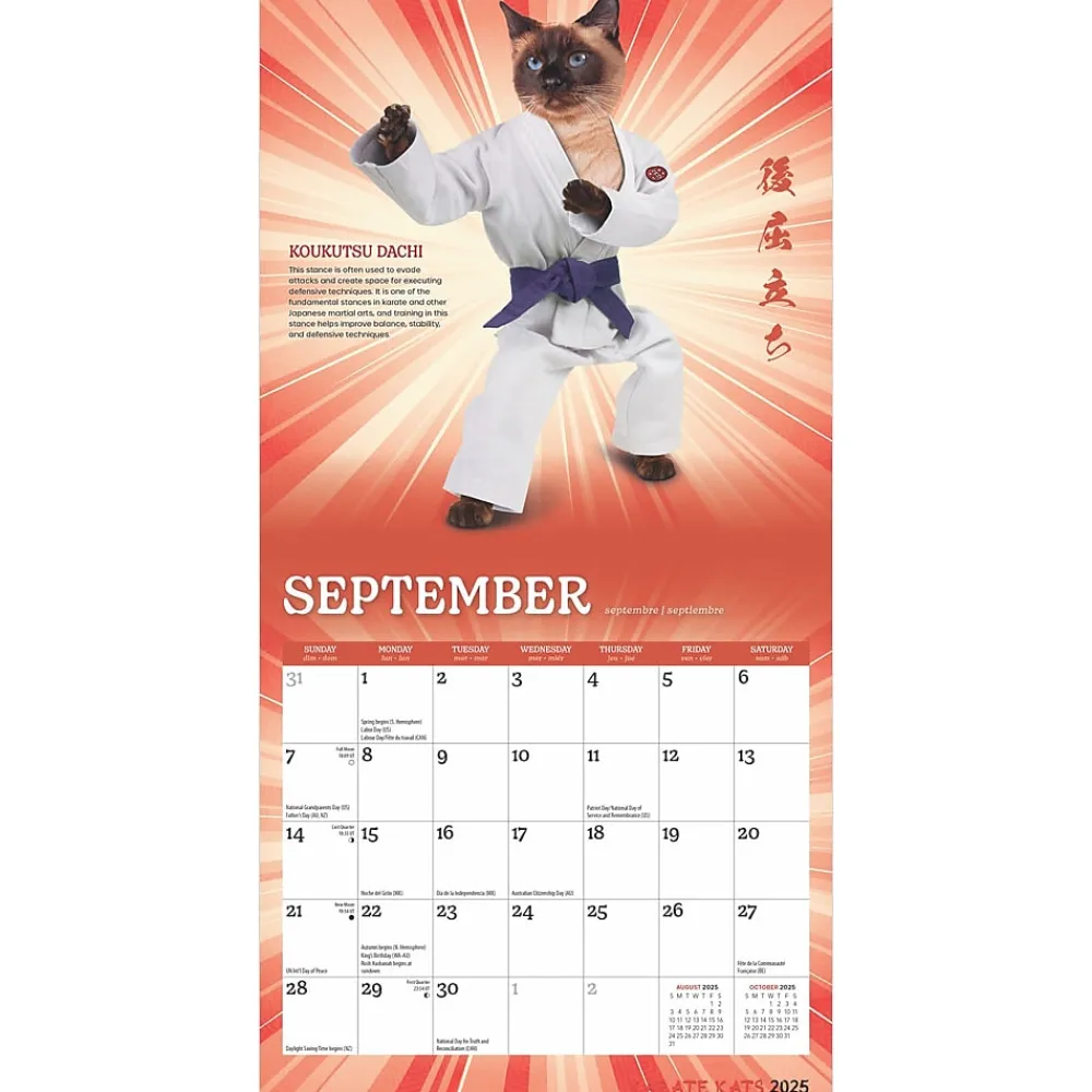 2025 Calendars|BrownTrout 2025 Karate Cats 7" x 14" Monthly Mini Wall Calendar, (9781975479541)