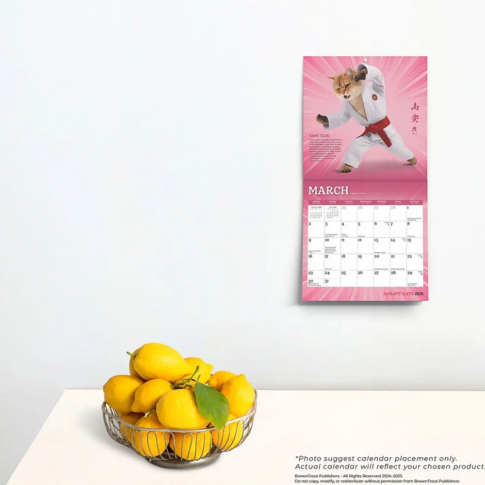 2025 Calendars|BrownTrout 2025 Karate Cats 7" x 14" Monthly Mini Wall Calendar, (9781975479541)