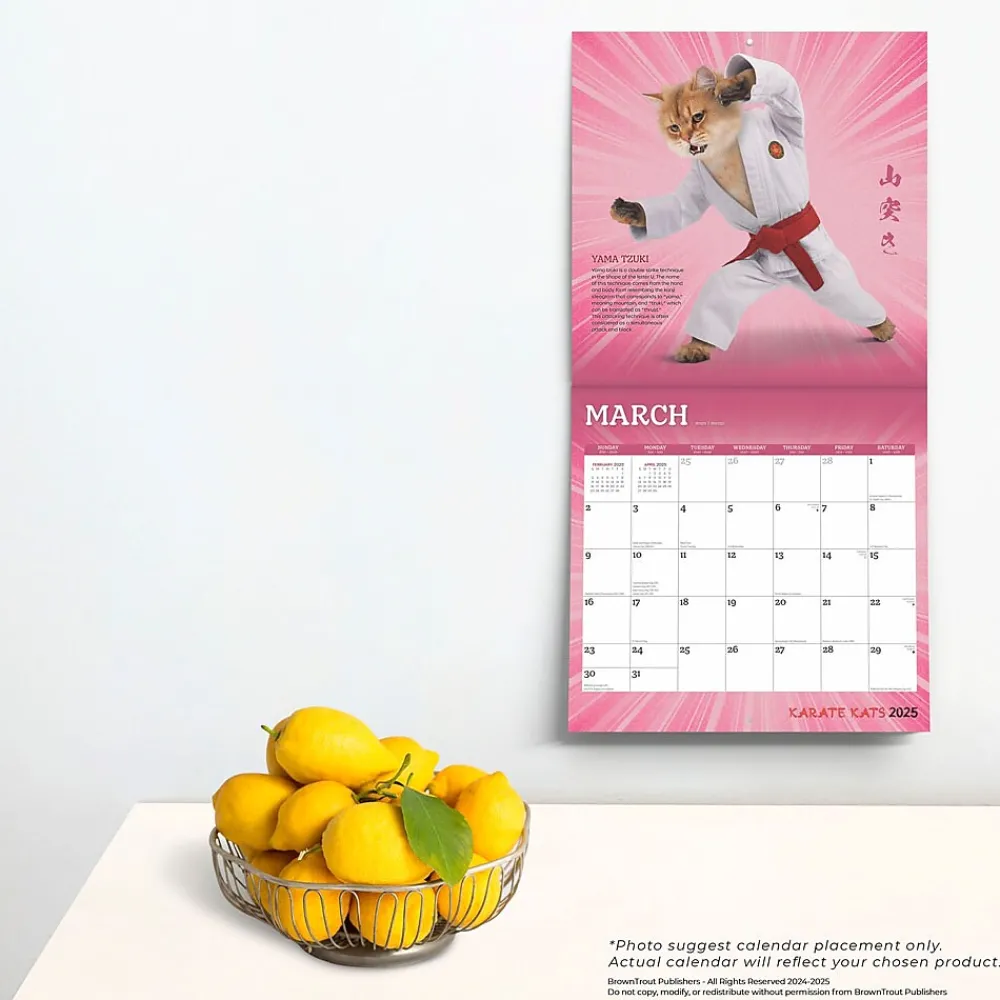 2025 Calendars|BrownTrout 2025 Karate Cats 12" x 24" Monthly Square Wall Calendar, (9781975479831)