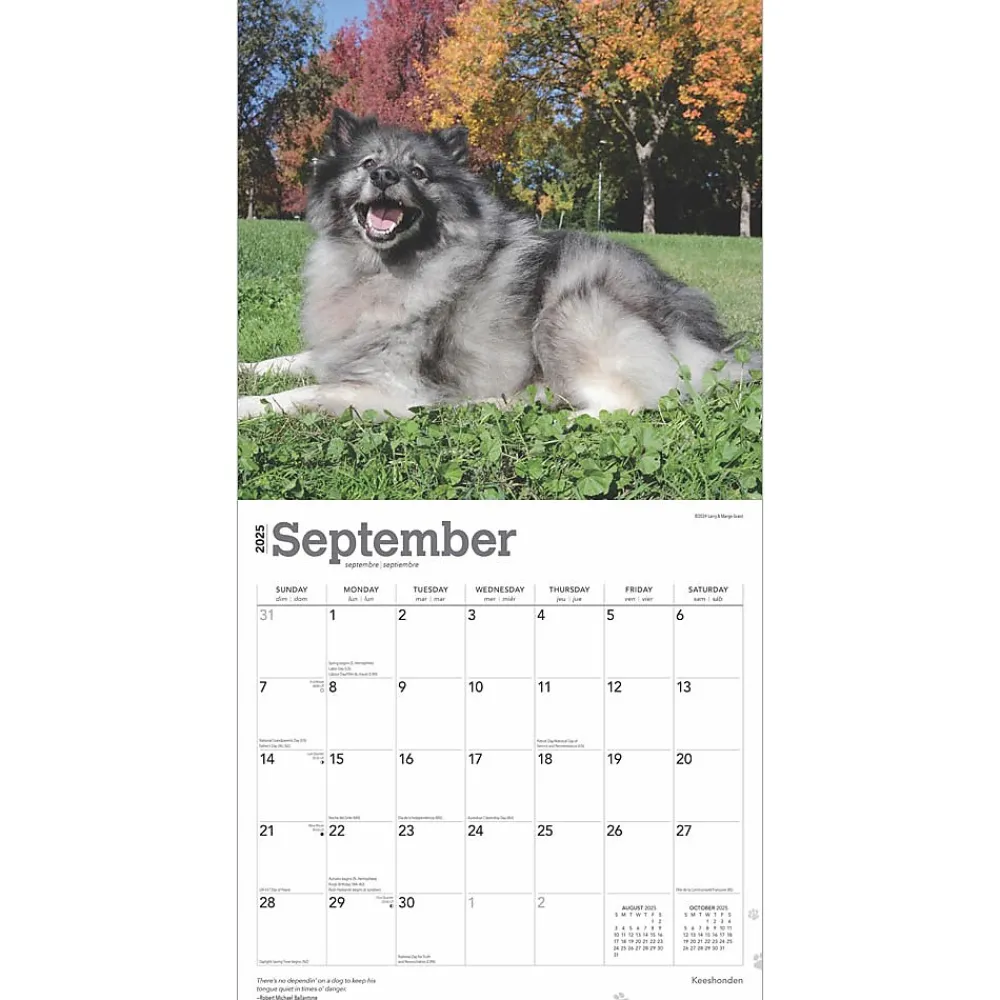 2025 Calendars|BrownTrout 2025 Keeshonden 12" x 12" Monthly Wall Calendar (9781975477264)