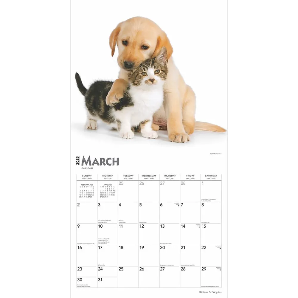 2025 Calendars|BrownTrout 2025 Kittens & Puppies 12" x 12" Monthly Wall Calendar (9781975477271)