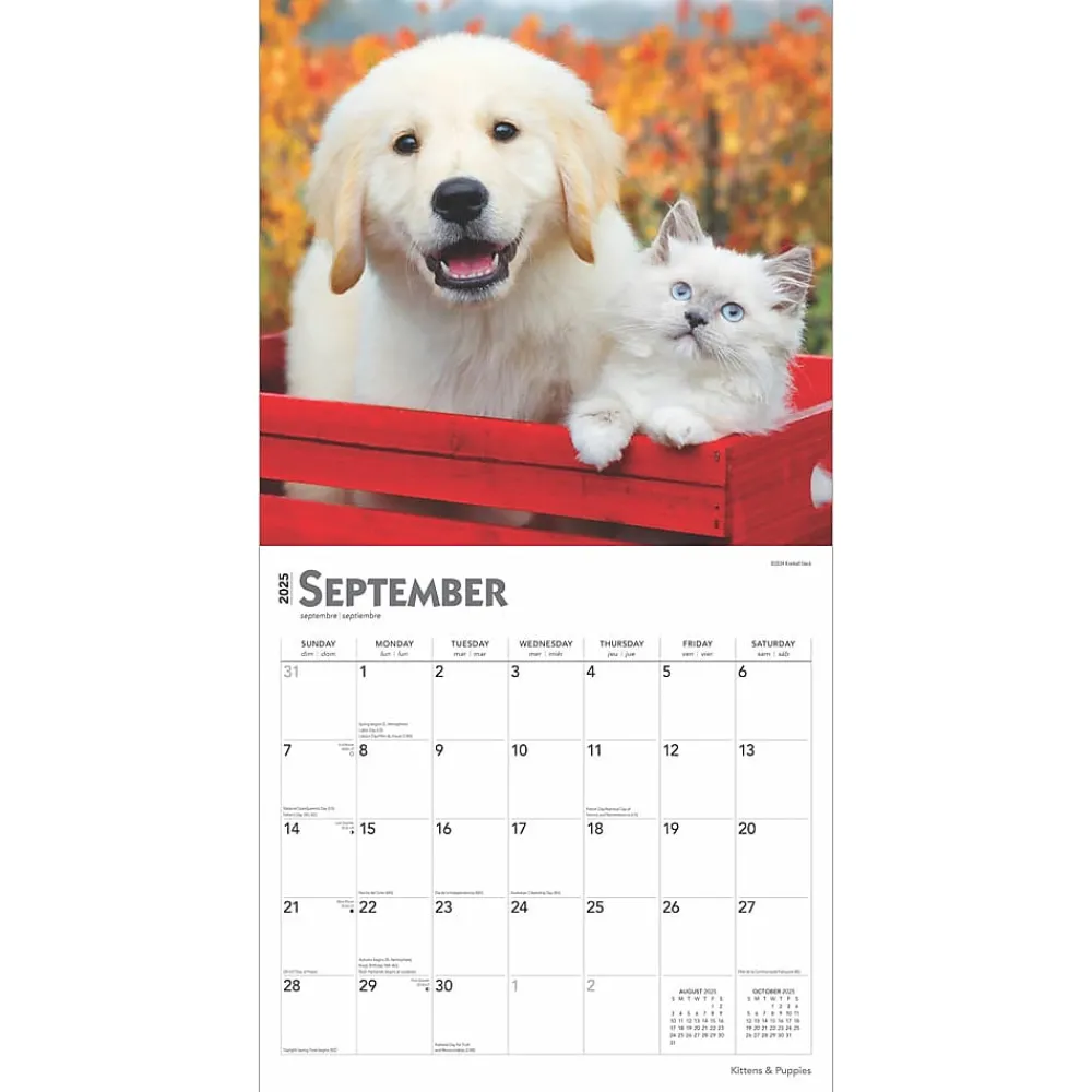 2025 Calendars|BrownTrout 2025 Kittens & Puppies 12" x 12" Monthly Wall Calendar (9781975477271)