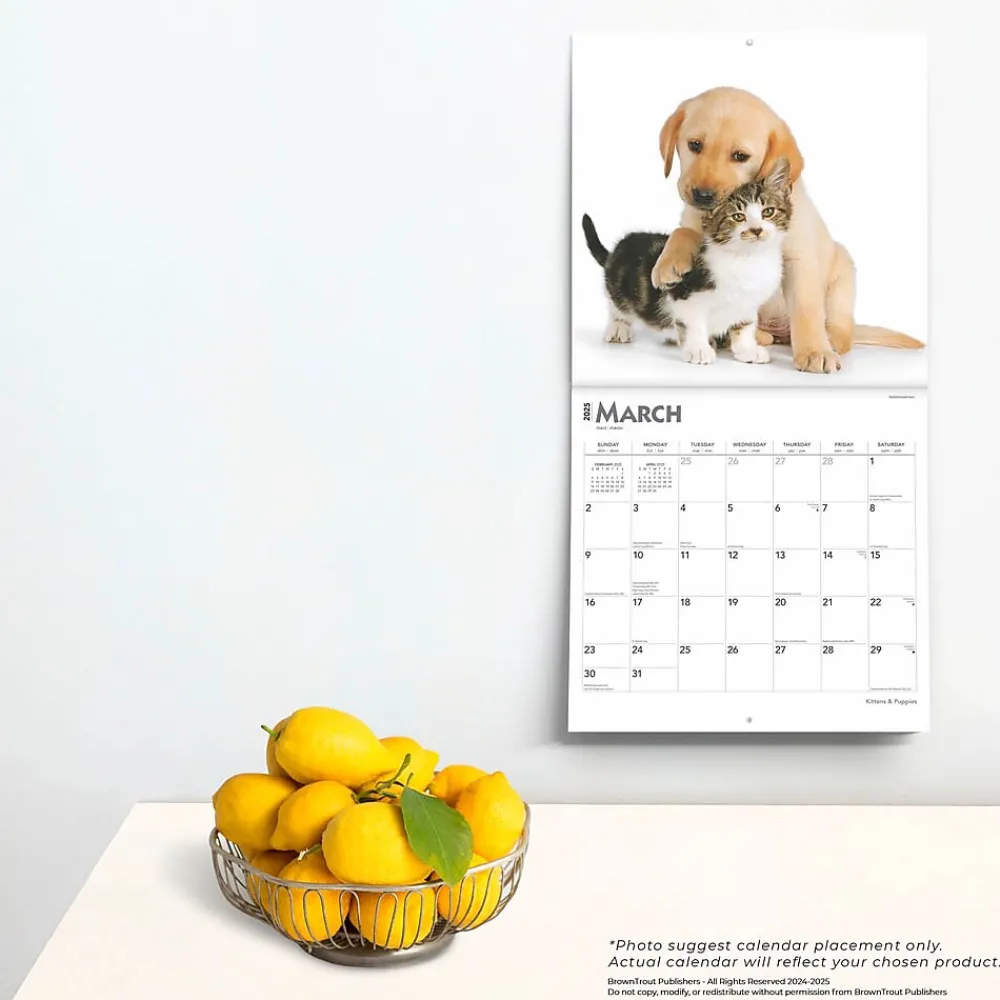 2025 Calendars|BrownTrout 2025 Kittens & Puppies 12" x 12" Monthly Wall Calendar (9781975477271)