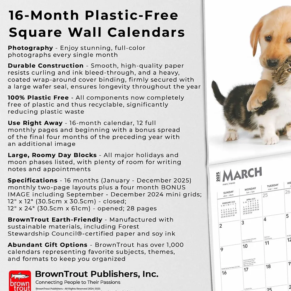 2025 Calendars|BrownTrout 2025 Kittens & Puppies 12" x 12" Monthly Wall Calendar (9781975477271)