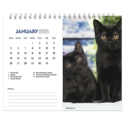 2025 Calendars|BrownTrout 2025 Kittens 7.5