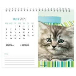 2025 Calendars|BrownTrout 2025 Kittens 7.5