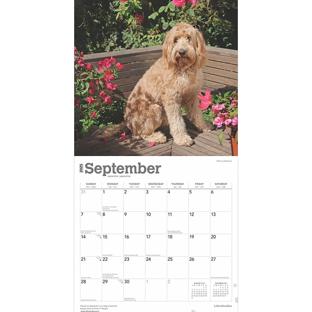 2025 Calendars|BrownTrout 2025 Labradoodles 12" x 24" Monthly Square Wall Calendar, (9781975477295)