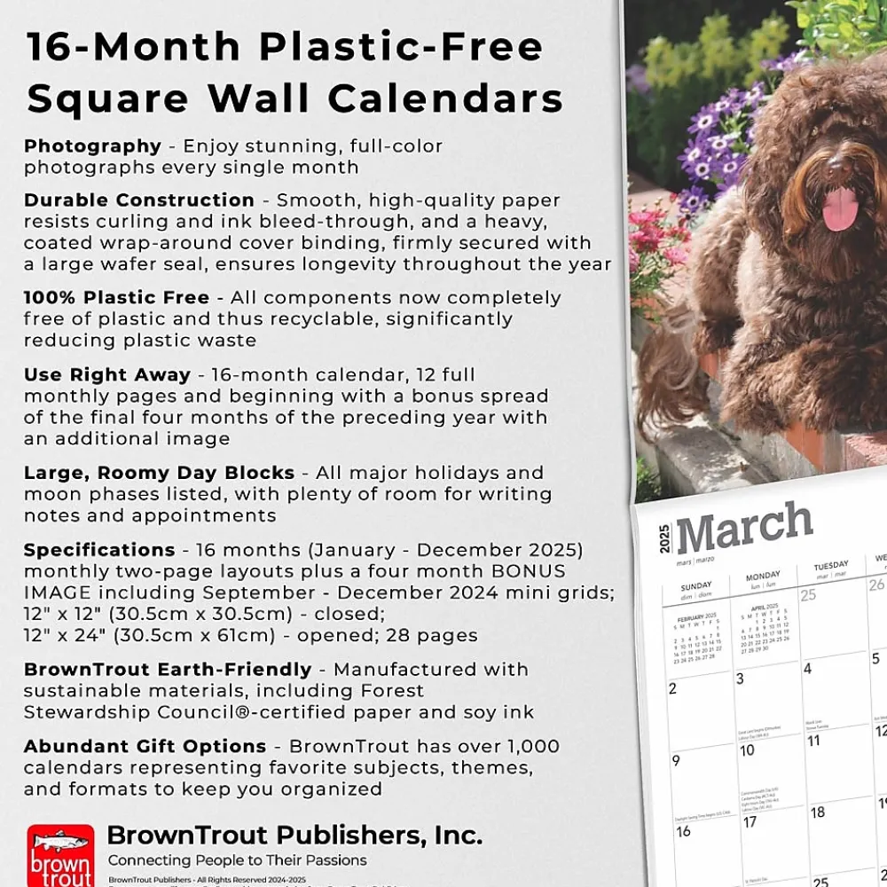 2025 Calendars|BrownTrout 2025 Labradoodles 12" x 24" Monthly Square Wall Calendar, (9781975477295)