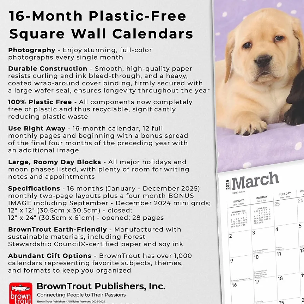 2025 Calendars|BrownTrout 2025 Labrador Retriever Puppies 12" x 12" Monthly Wall Calendar (9781975477301)