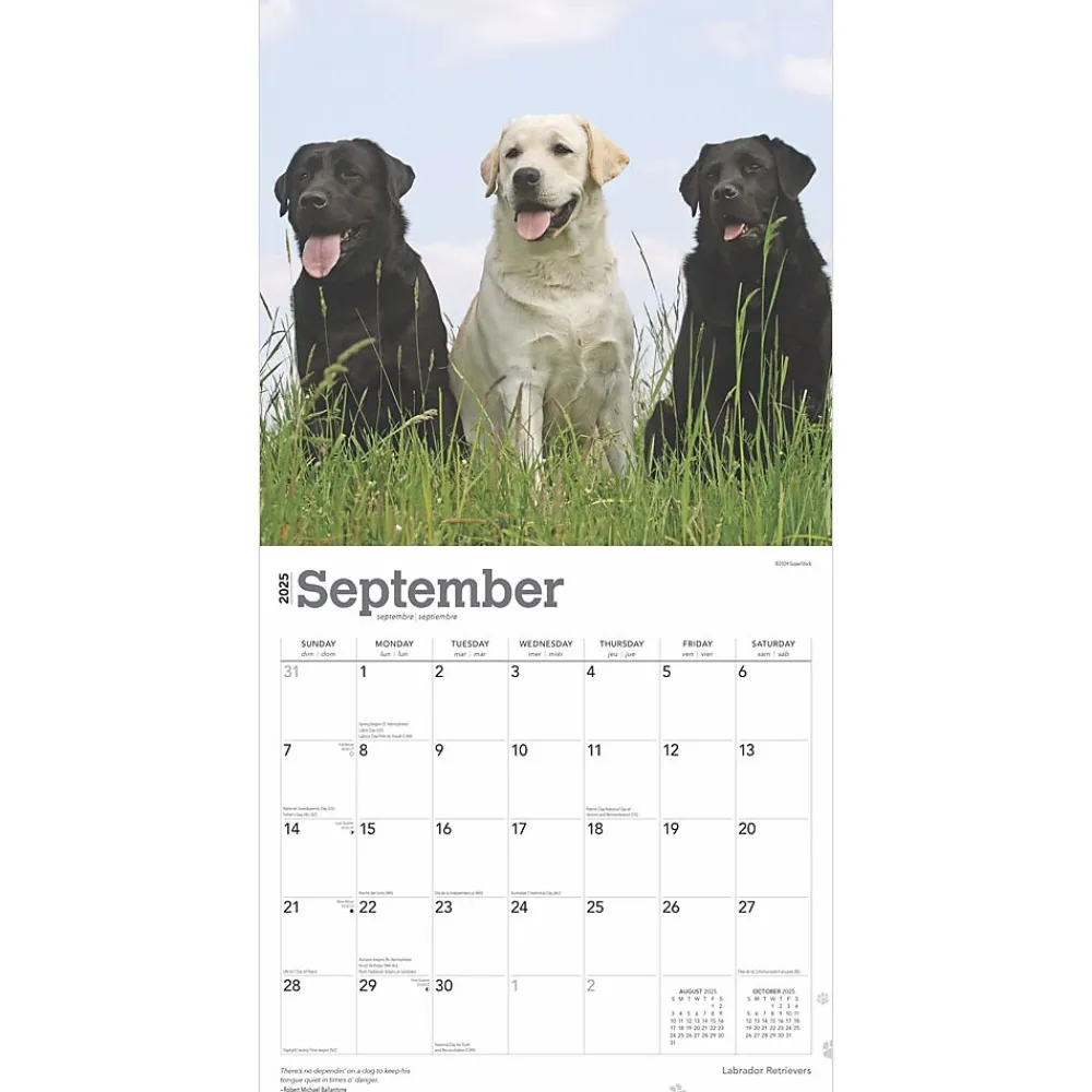 2025 Calendars|BrownTrout 2025 Labrador Retrievers 12" x 12" Monthly Wall Calendar (9781975477332)