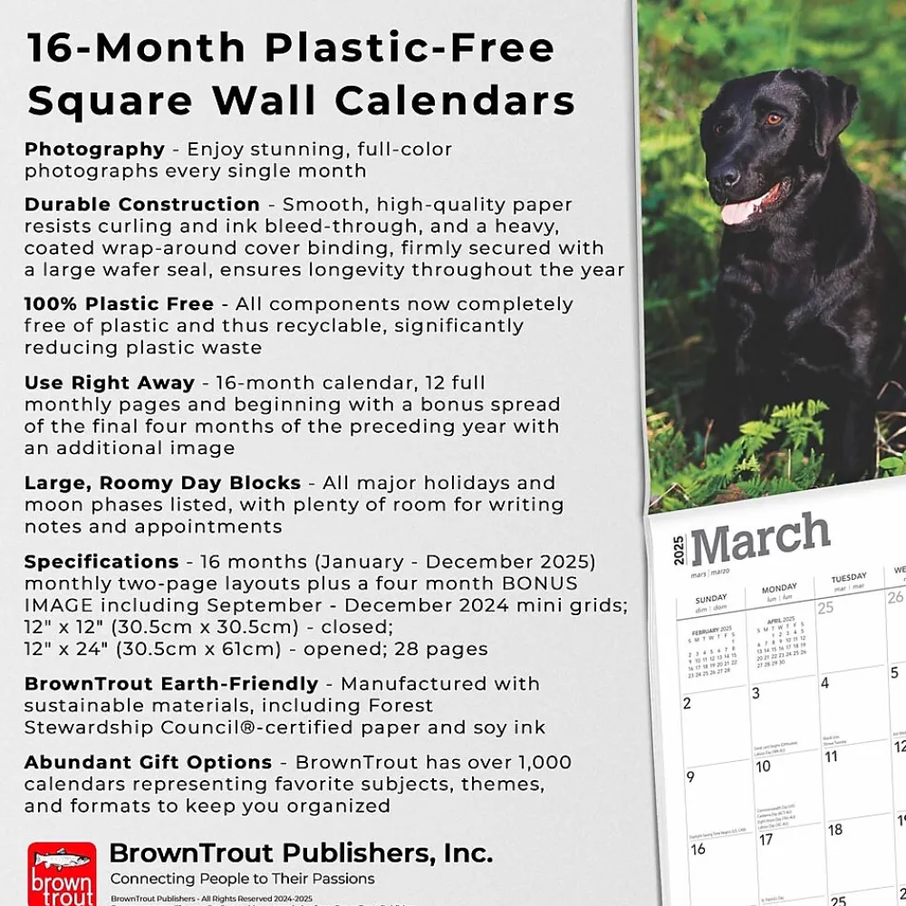 2025 Calendars|BrownTrout 2025 Labrador Retrievers 12" x 12" Monthly Wall Calendar (9781975477332)