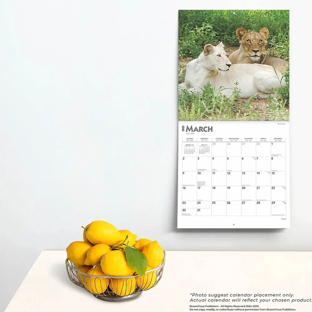 2025 Calendars|BrownTrout 2025 Lions 12" x 12" Monthly Wall Calendar (9781975476458)