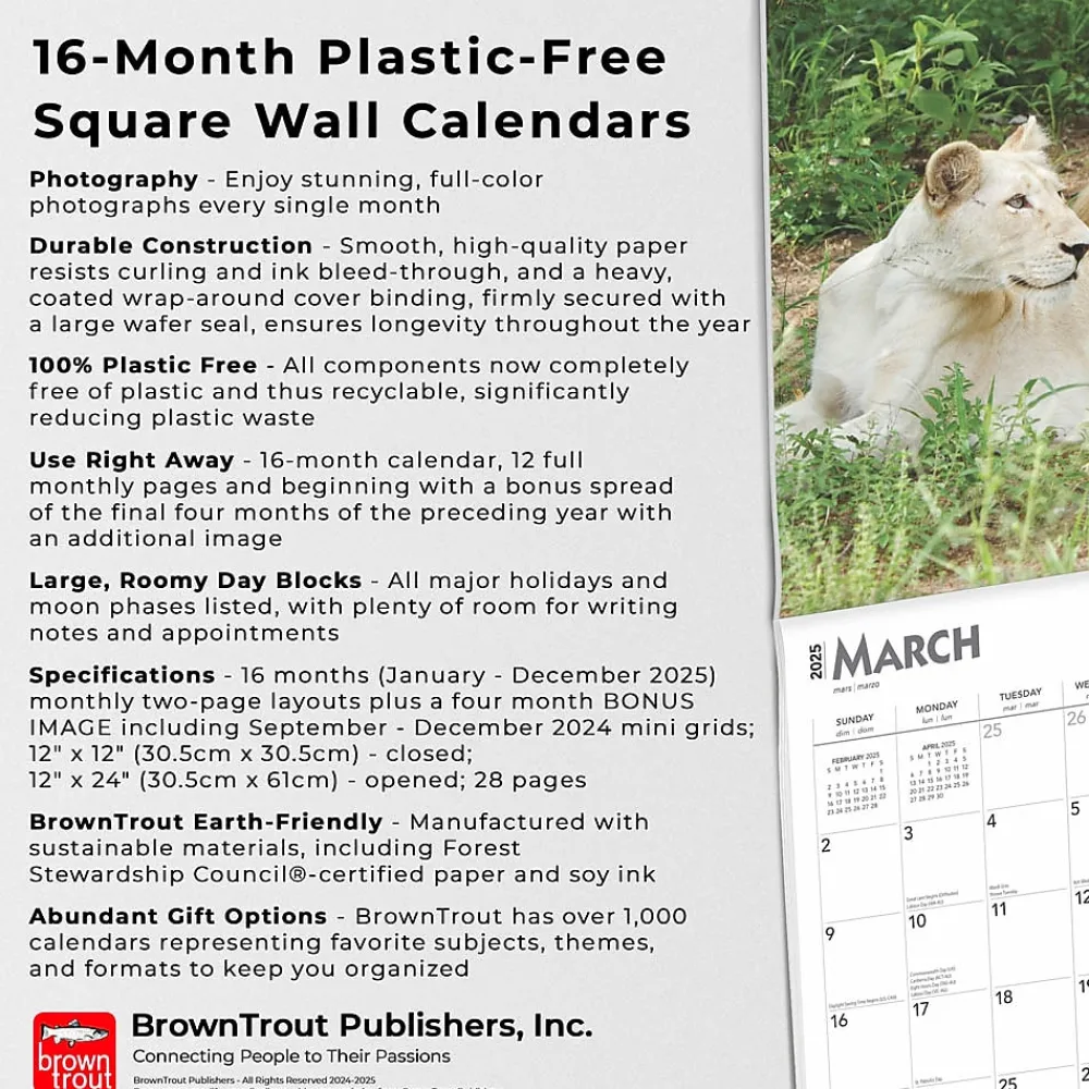 2025 Calendars|BrownTrout 2025 Lions 12" x 12" Monthly Wall Calendar (9781975476458)