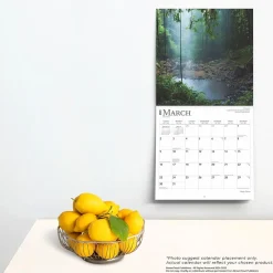 2025 Calendars|BrownTrout 2025 Magic Places 12