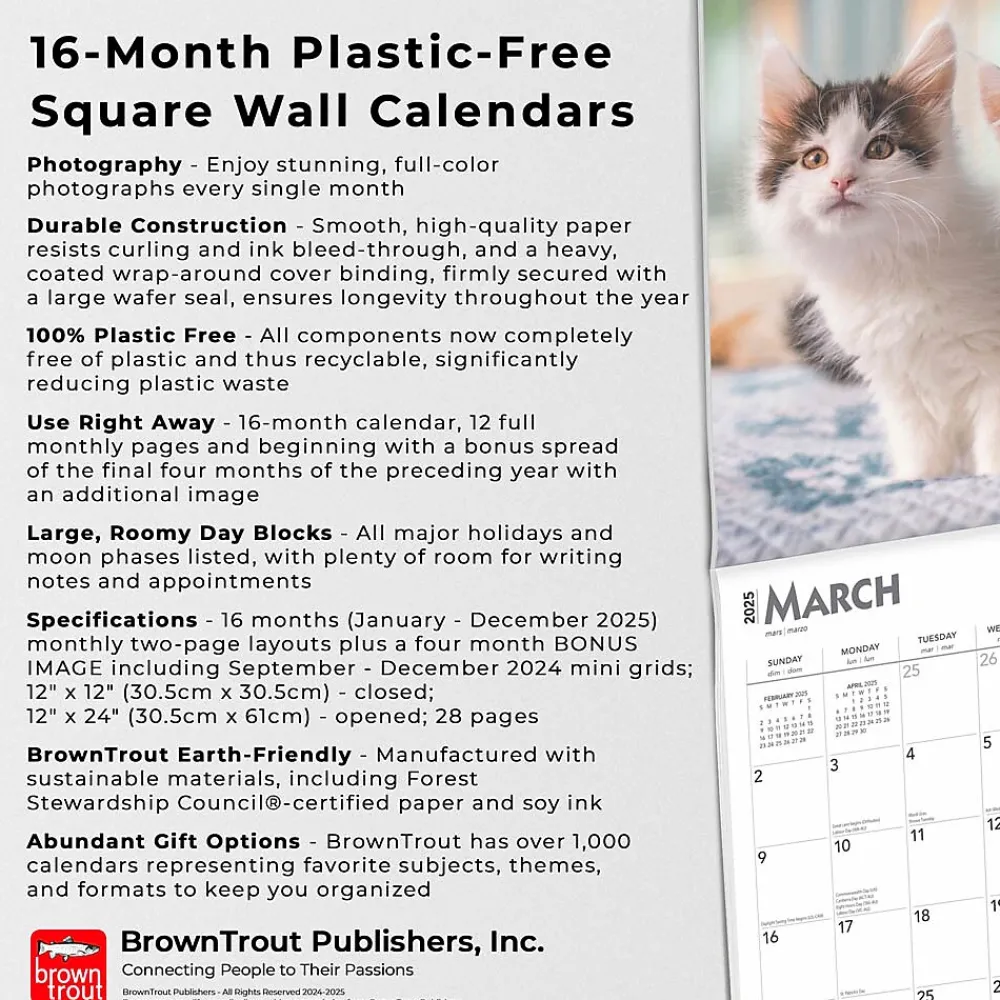 2025 Calendars|BrownTrout 2025 Maine Coon Cats 12" x 24" Monthly Square Wall Calendar, (9781975477387)