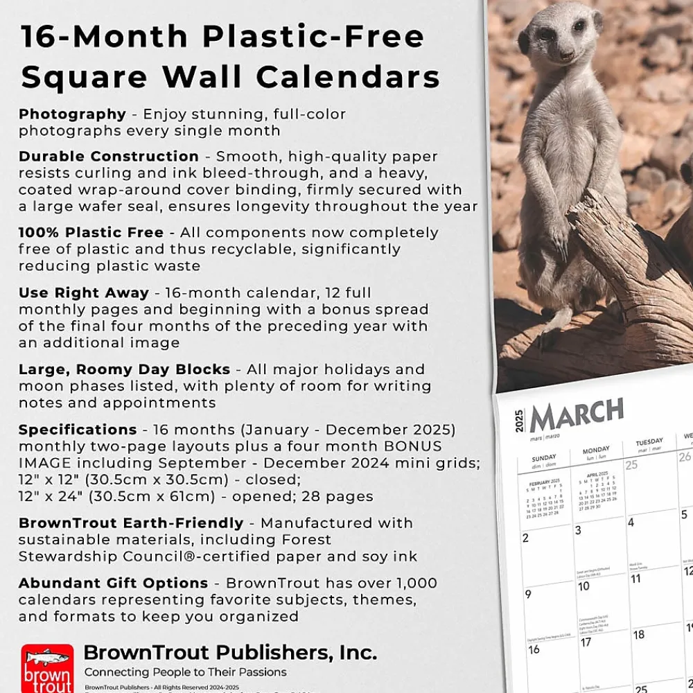 2025 Calendars|BrownTrout 2025 Meerkats 12" x 12" Monthly Square Wall Calendar (9781975475215)