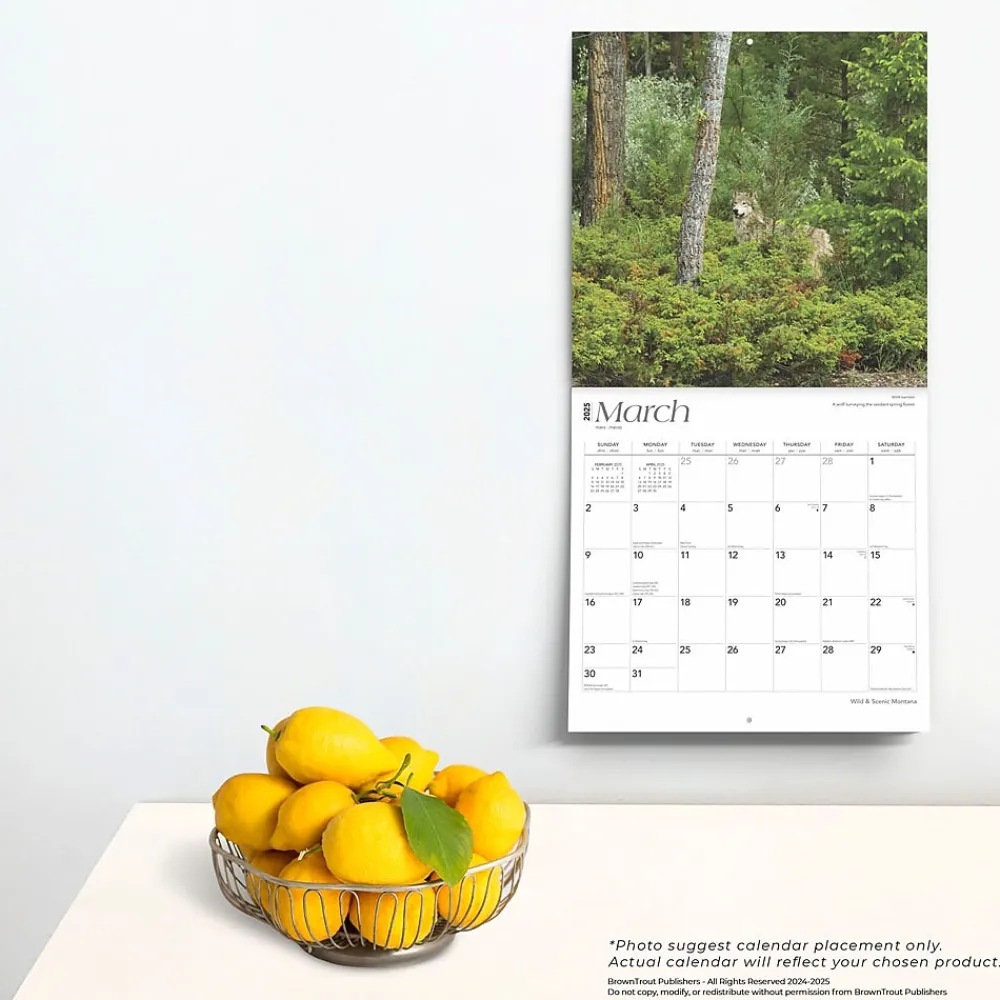 2025 Calendars|BrownTrout 2025 Montana Wild & Scenic 12" x 12" Monthly Wall Calendar (9781975475314)