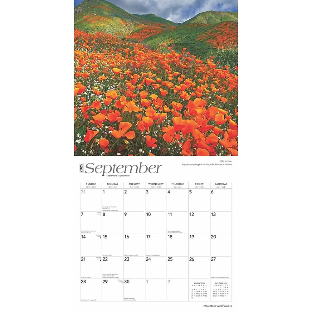 2025 Calendars|BrownTrout 2025 Mountain Wildflowers 12" x 12" Monthly Square Wall Calendar (9781975476038)