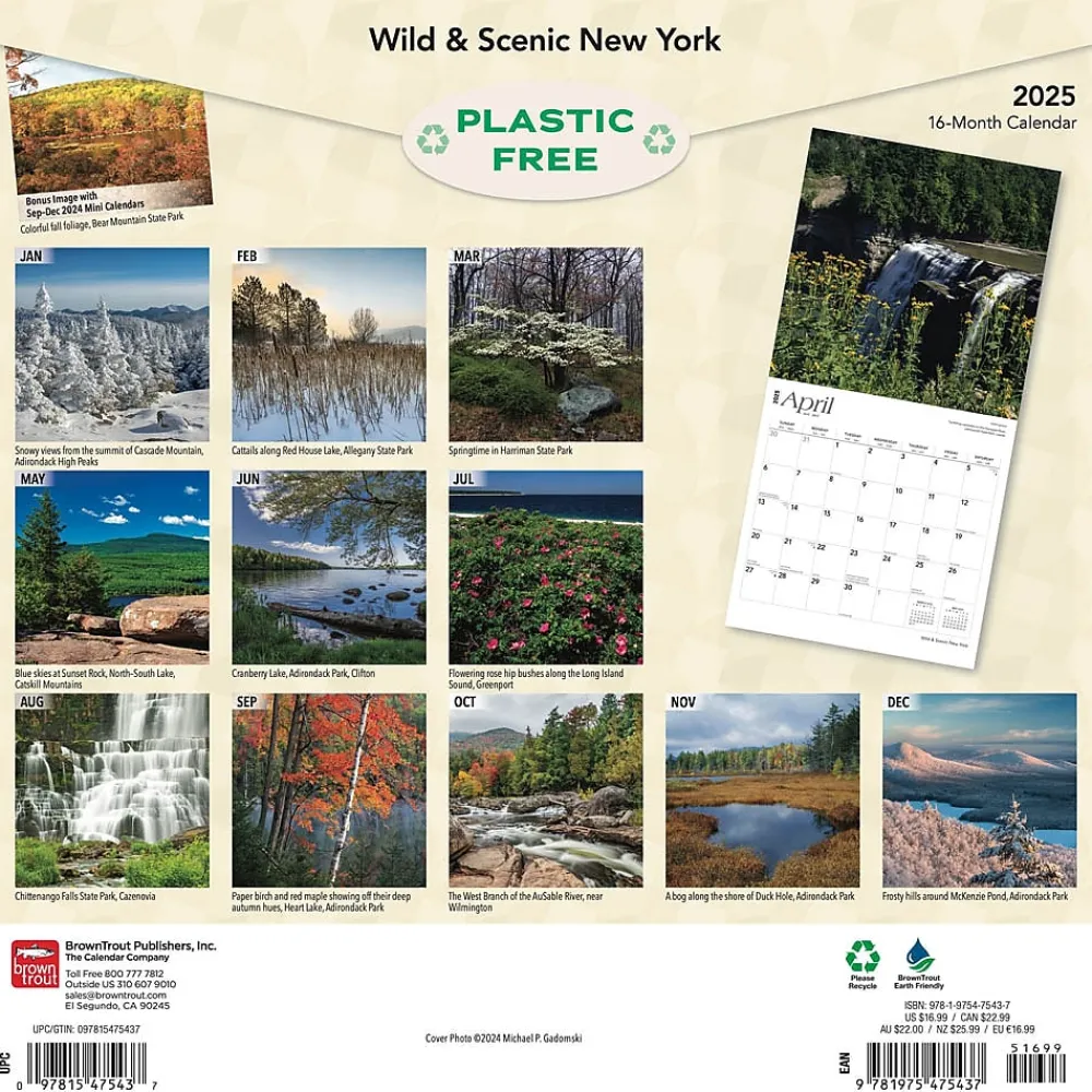 2025 Calendars|BrownTrout 2025 New York Wild & Scenic 12" x 24" Monthly Square Wall Calendar (9781975475437)
