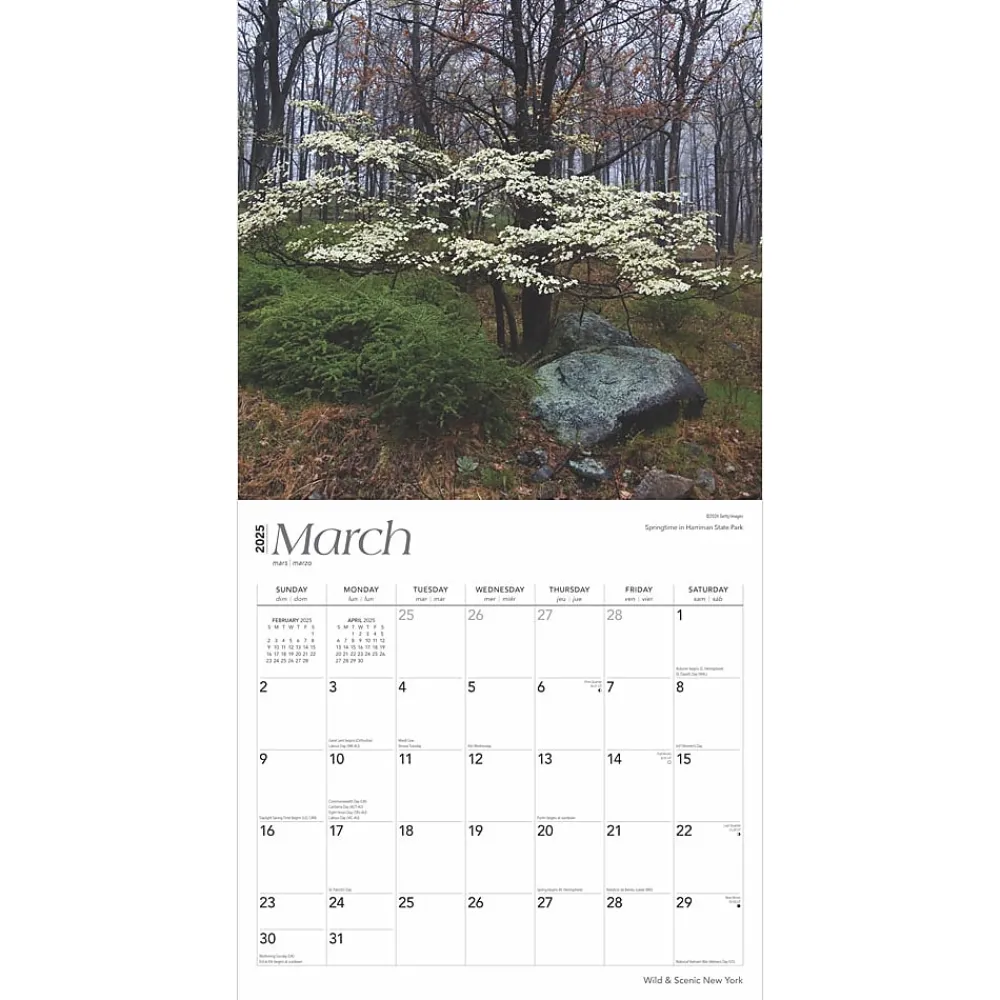 2025 Calendars|BrownTrout 2025 New York Wild & Scenic 12" x 24" Monthly Square Wall Calendar (9781975475437)