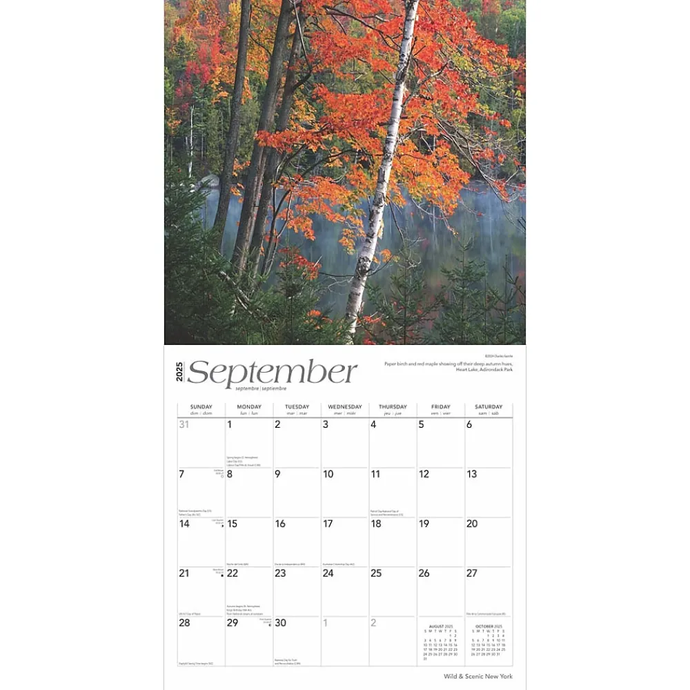 2025 Calendars|BrownTrout 2025 New York Wild & Scenic 12" x 24" Monthly Square Wall Calendar (9781975475437)
