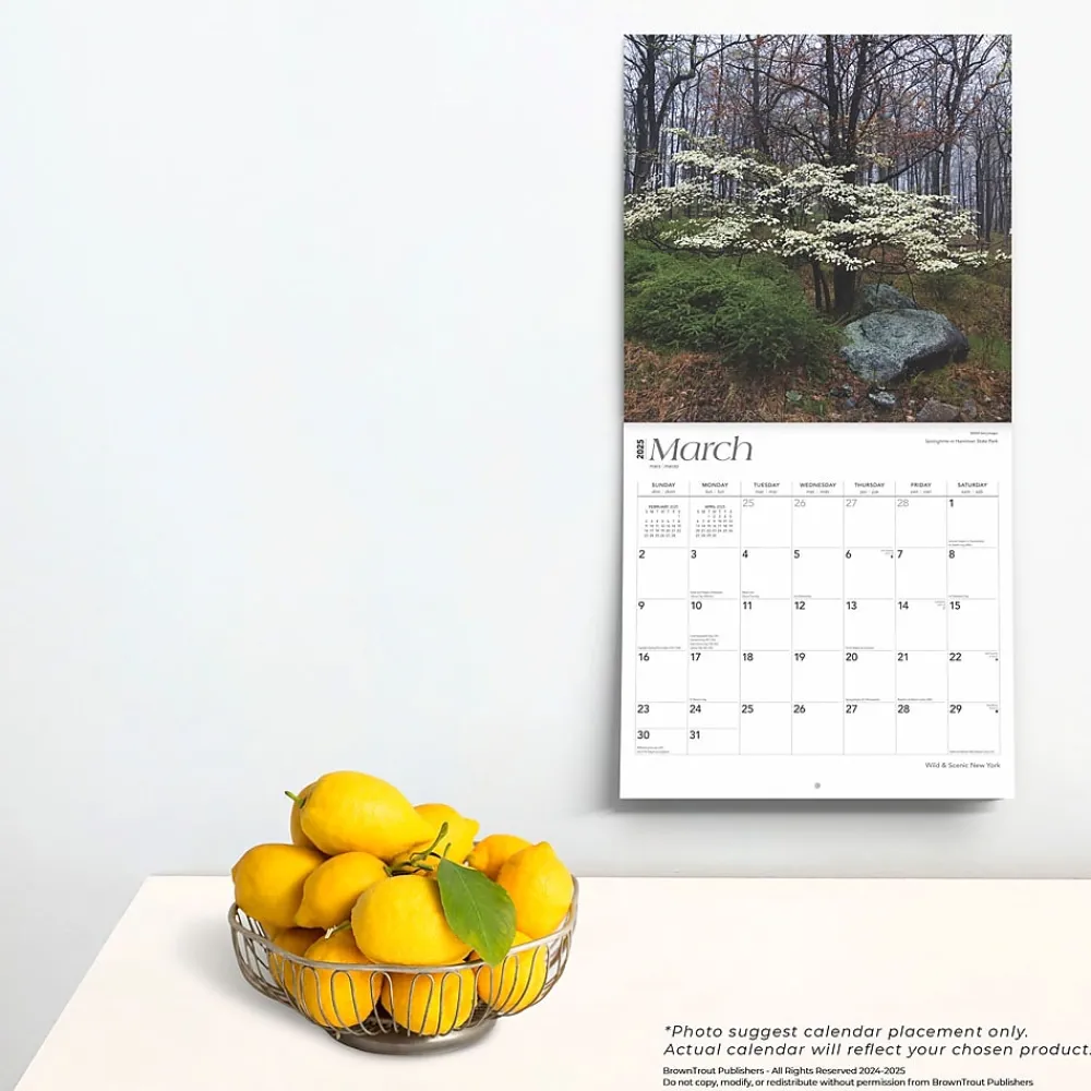 2025 Calendars|BrownTrout 2025 New York Wild & Scenic 12" x 24" Monthly Square Wall Calendar (9781975475437)