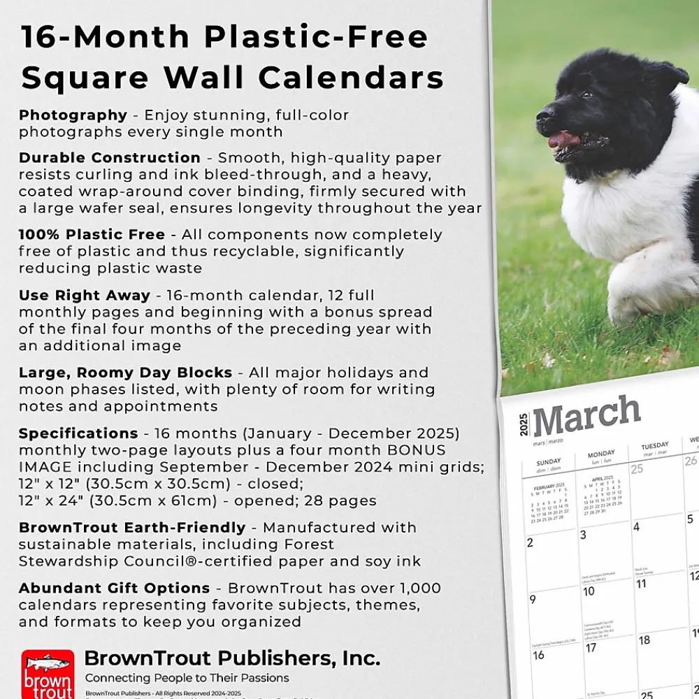 2025 Calendars|BrownTrout 2025 Newfoundlands 12" x 12" Monthly Wall Calendar (9781975477479)