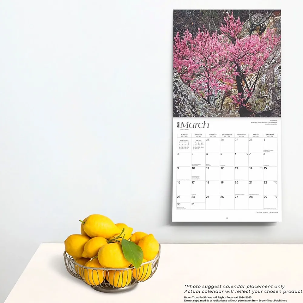 2025 Calendars|BrownTrout 2025 Oklahoma Wild & Scenic 12" x 12" Monthly Wall Calendar (9781975475482)