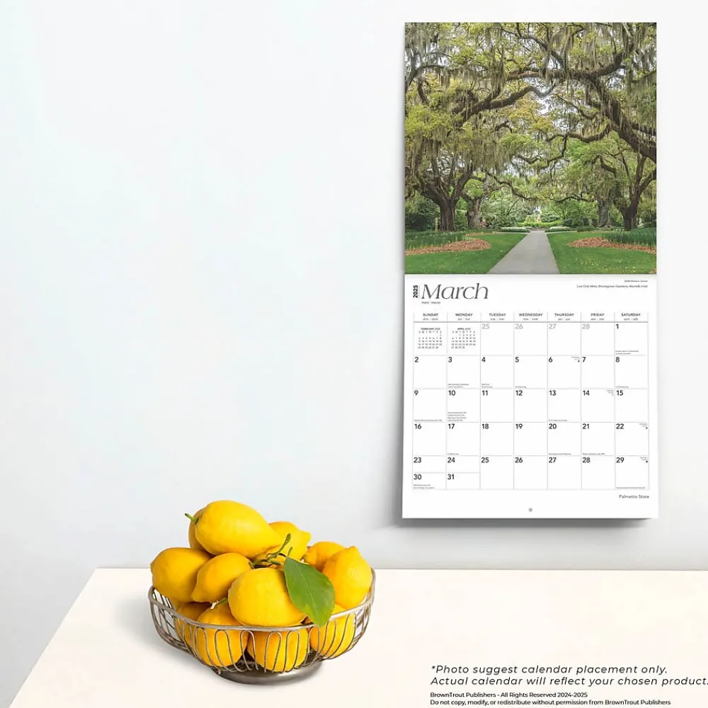 2025 Calendars|BrownTrout 2025 Palmetto State South Carolina Places 12" x 12" Monthly Wall Calendar (9781975483050)