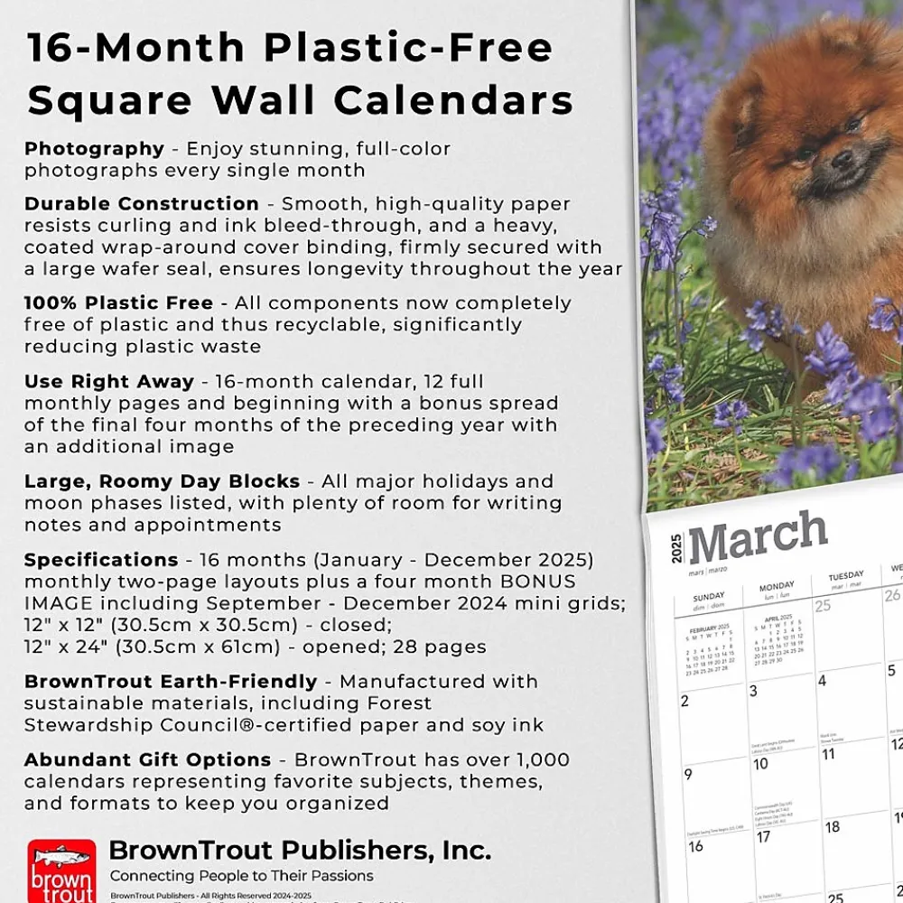 2025 Calendars|BrownTrout 2025 Pomeranians 12" x 12" Monthly Wall Calendar (9781975477530)