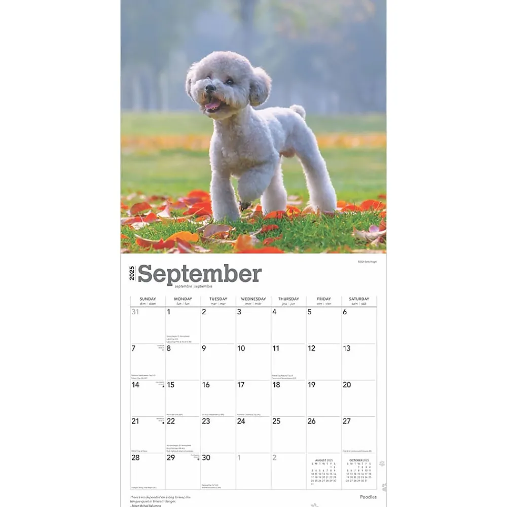2025 Calendars|BrownTrout 2025 Poodles 12" x 12" Monthly Wall Calendar (9781975477547)