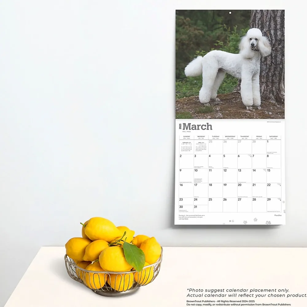 2025 Calendars|BrownTrout 2025 Poodles 12" x 12" Monthly Wall Calendar (9781975477547)