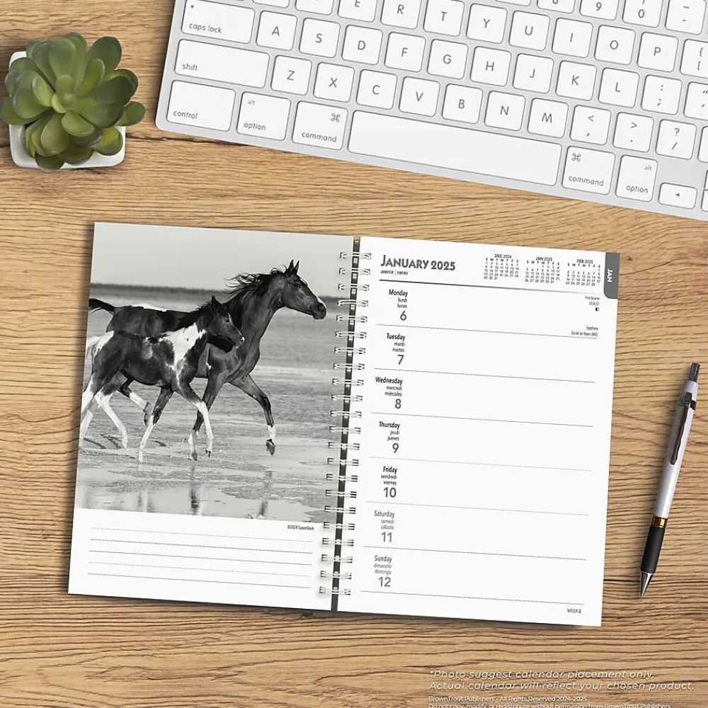 2025 Planners|BrownTrout 2025 Portrait Series: The Noble Horse 6" x 7.75" Weekly Engagement Planner, Paper Cover, Multicolored (9781975473228)